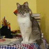 Отзыв от Нинель Маслова
